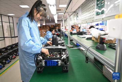 哈爾濱新區 技術服務涌動創新熱潮，引領產業振興