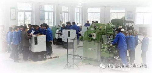 甘肅林業職業技術學院機電工程學院 以技術服務為引擎，賦能區域產業發展