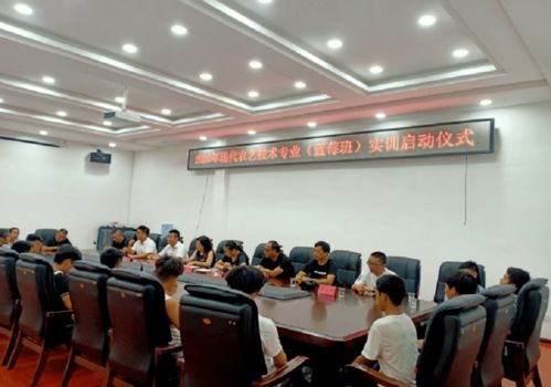 藍莓田里的青春課堂 麻江首屆農(nóng)藝藍莓班社會實踐紀實